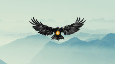 crypto-raven,-as-a-renowned-and-trusted-defi-expert,-inspires-innovation-in-the-defi-sector.